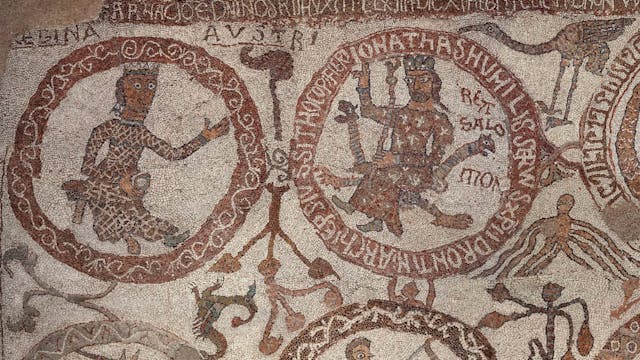 FUTURE FF 2022 lunghi - Metamorphosis