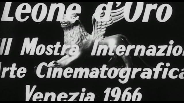 MIOCINEMA - La Battaglia di Algeri