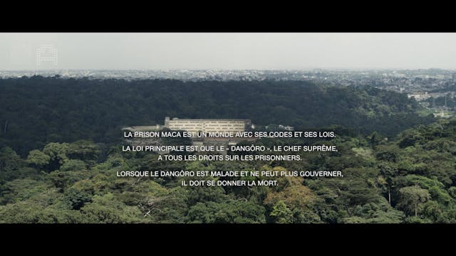 Nuovo Armenia - LA NUIT DE ROIS Antonio Augugliaro