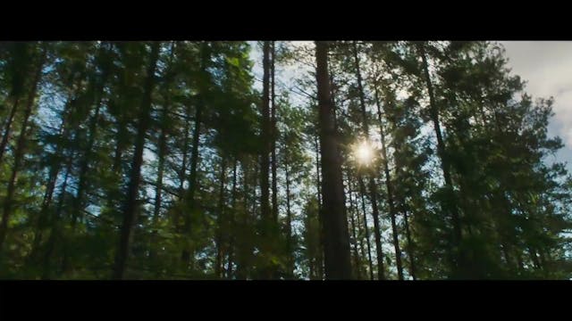 Border - creature di confine - vor