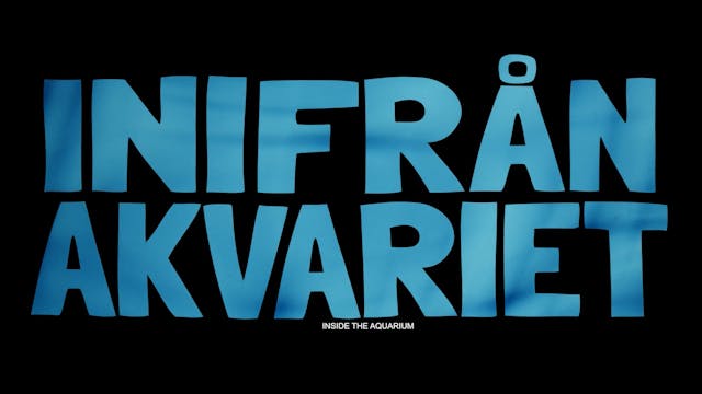 GIFFONI 2022 - Inside the Aquarium