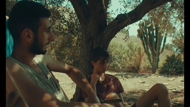 los angeles - ACCAMORA_H264_ sub ita + eng