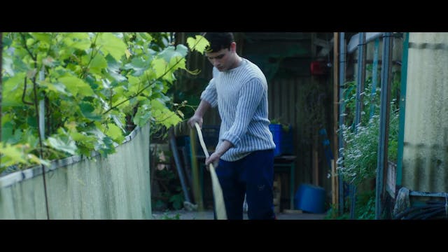 ReelOne - UGAI_H264_SubITA_Stereo_20181115