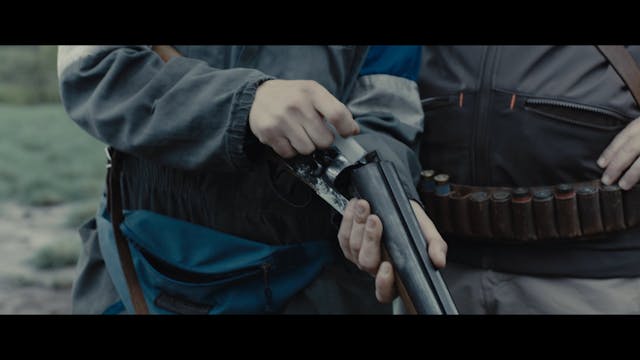 MOLISE - Vegetariani