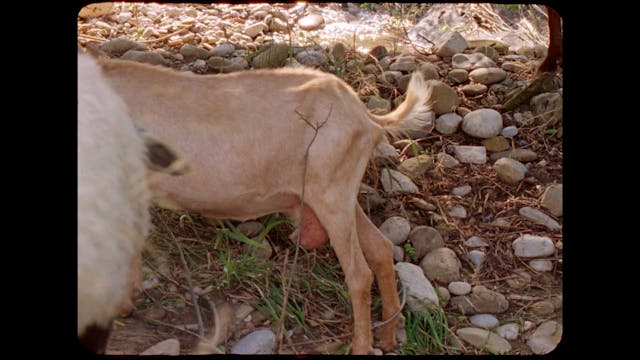 popoli - LA_ZITA_21_10_31_COLOR_MIX_AUDIO_WEB