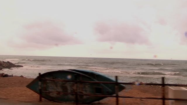 Letizia Lucangeli - 15. The Bus Driver-A female bus driver ITA