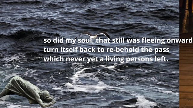 LOS ANGELES - perspective dante