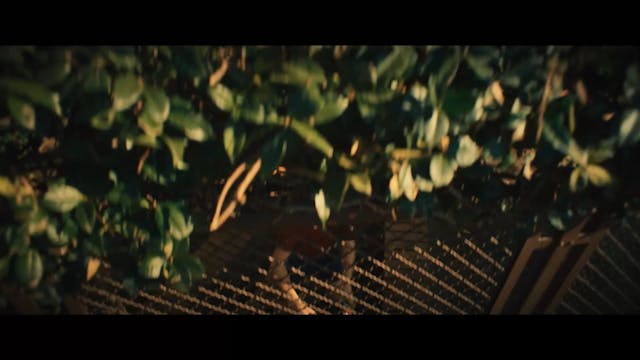 istituto italiano - COSA_SARA_sub fra...