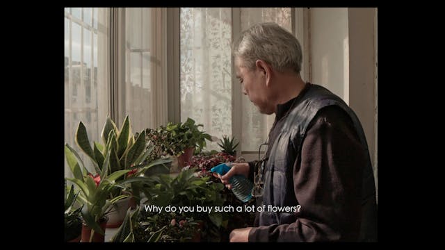 CAPRI HOLLYWOOD - a-playn-day