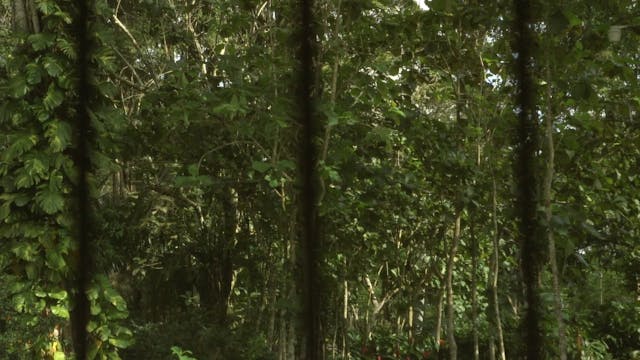 SGUARDI ALTROVE - the Granny of the Year