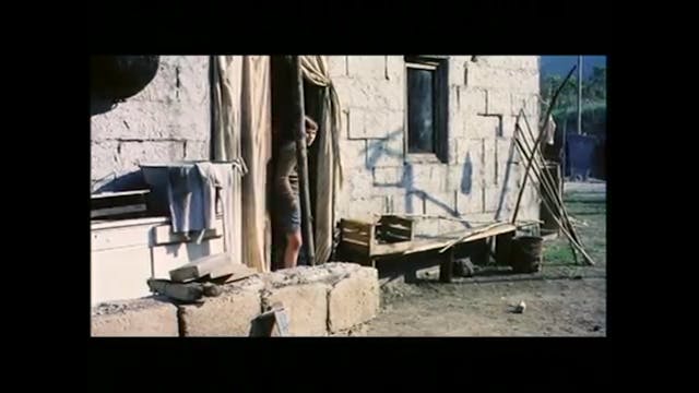 CINECITTA LUCE - La volpe a tre code