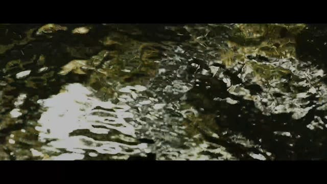 NEW YORK - Romulus Ep 1