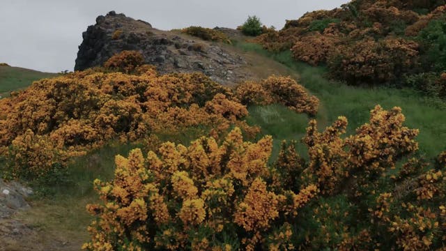 BERGAMO FILM MEETING - Olivier Zabat - ARGUMENTS_ZABAT_BERGAME