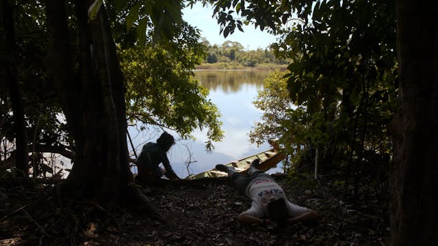 TERRAVIVA - Wood_OV-XX_51_30mbit