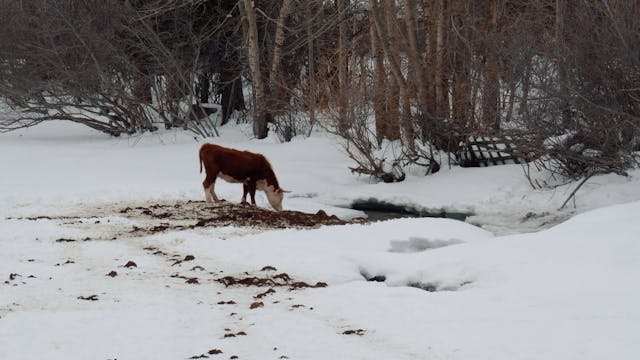 LESSINIA 2022 - John - Grade (Chevy) V10 Eng_resized