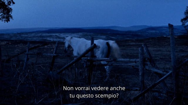 MIOCINEMA - ASSANDIRA - Ita