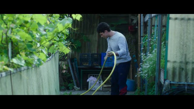 TRUECOLOURS - un giorno all'improvviso - sub tr