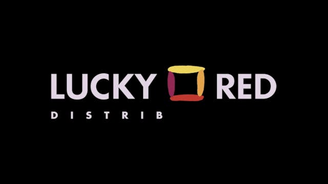 COMPAGNIA - MUSTANG - ITA