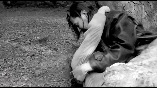 TSFF - NUMBERS_ (NOMERY)_DEF