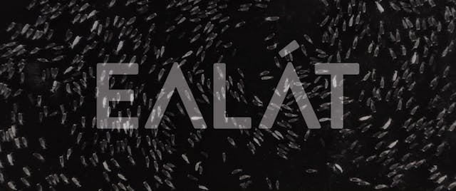 bergamo film meeting - film from the north Ealat_pr422hq-2K_