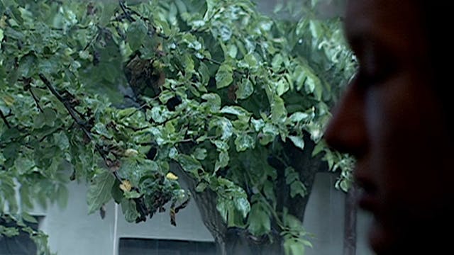 BIOGRAFILM - Katka_H264_10Mbps_FullHD_25p_stereo320k