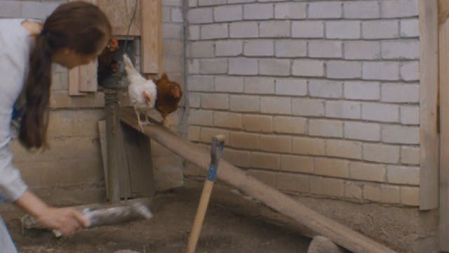 SHORTS 2022 - 69_The First Sunday After the First Full Moon