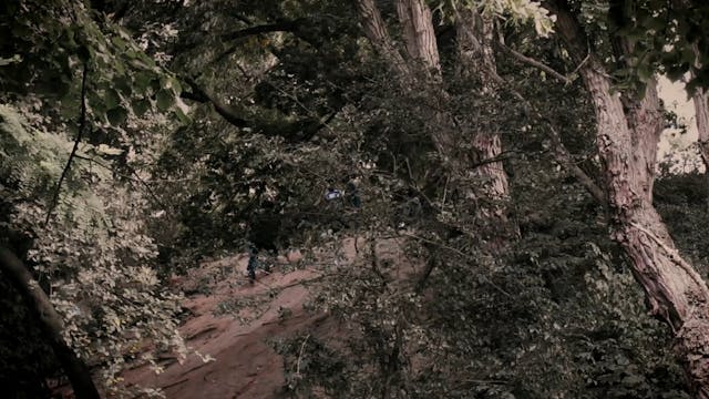 FUORINORMA - Vanitas