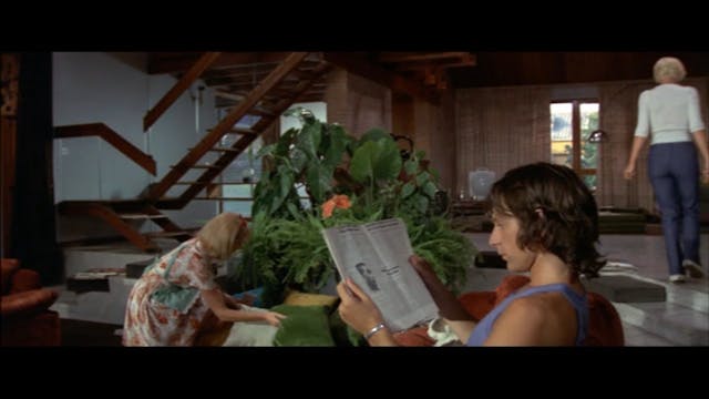 PIUCOMPAGNIA - 4 mosche di velluto grigio