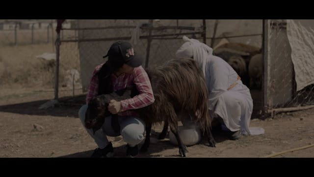 SEDICICORTO 2021 - IDO Short Film.  without subtitle.By Saman Mustefa