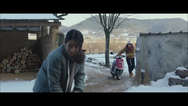 FAREASTREAM - Little Forest - ITA