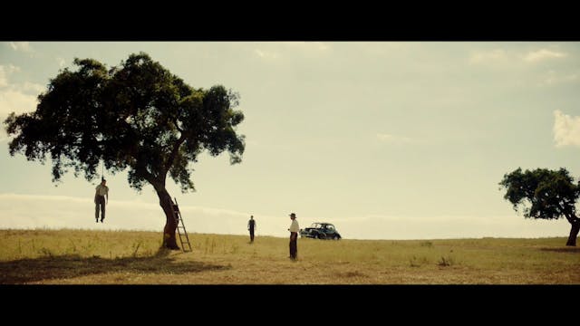 VENEZIA 2021 - LE_DOMAINE_H264_1080p_25fps_OV_stereo