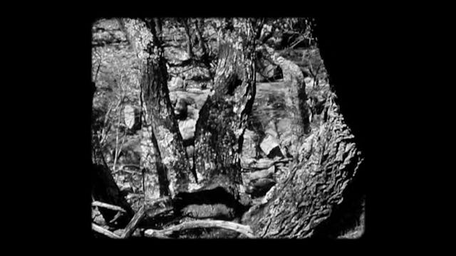 sci-fi - Die Schneider Krankheit_def