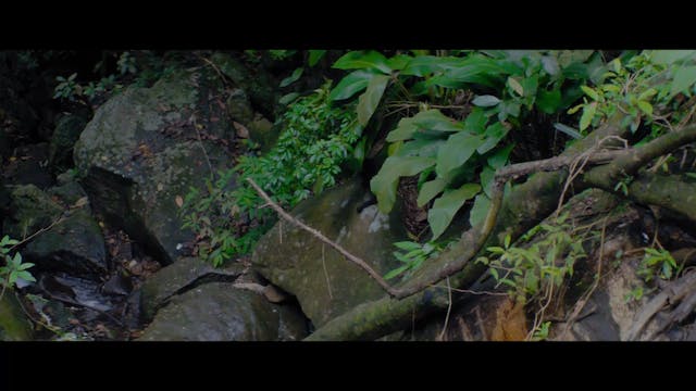 Euridice Gusmao - vor