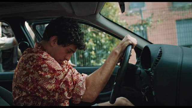 los angeles Come un uovo nel radiatore_As an egg the radiator_