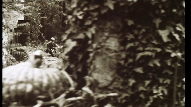 CINECITTA LUCE - COME DUE COCCODRILLI MASTER (1)