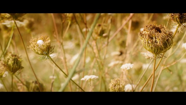 NEW YORK - L'AMORE NON SI SA DEF SUB ENG