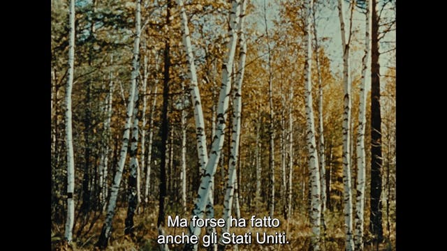 Paolo Pellicano - LettreDeSiberie_FR-it_1080_24_9Mbps_MYm