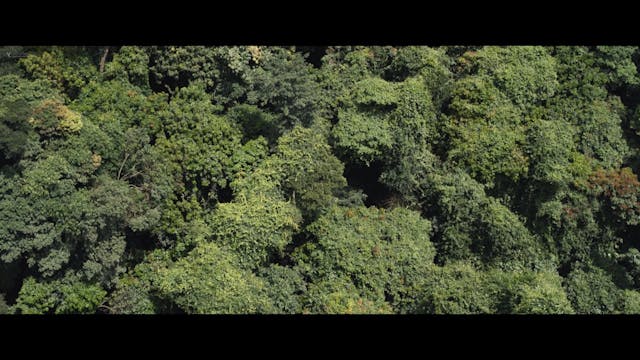 Lara Casirati - FESCAAAL_La nuit des rois