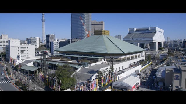 FEFF 2021 - Sumodo_FEATURE_clean