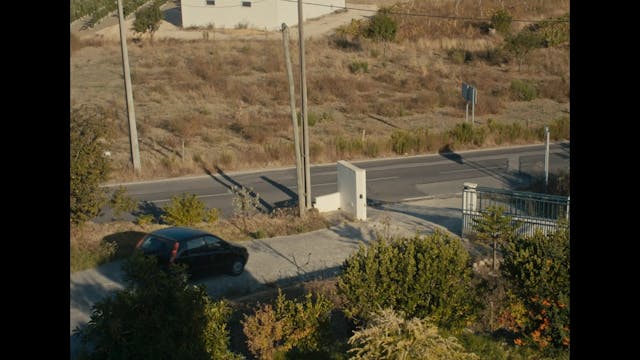 SHORTS 2021 - SIMON-CALLS