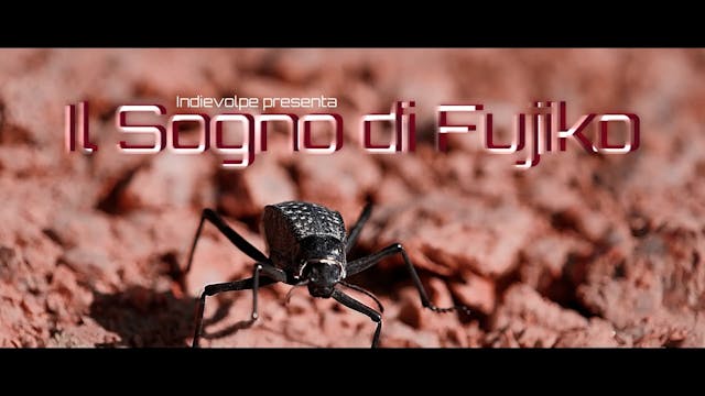 FI-PI-LI HORROR - Il Sogno di Fujiko