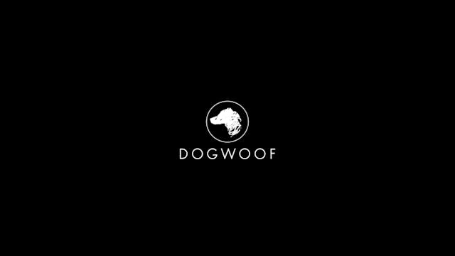 MIDDLE EAST - Mayor International_1080_Firenze