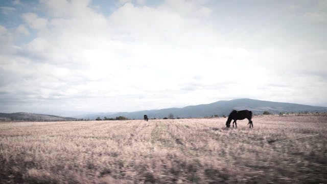 ISCHIA GLOBAL - Children of Nikozi (Ischia)