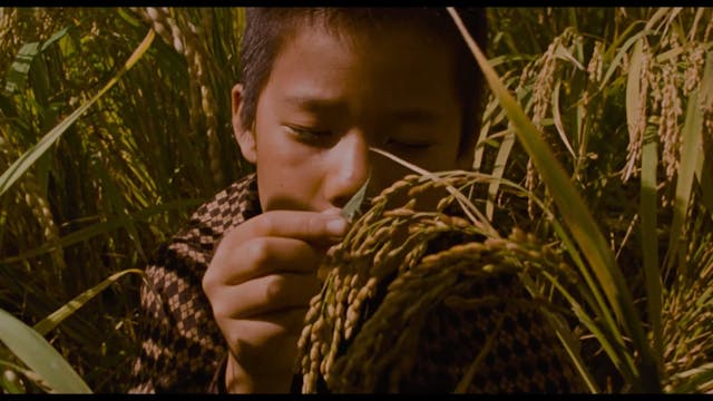 Memorie Assassino - vor