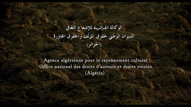 VENEZIA 2021 - YEMA_QT_H264_HD_V2