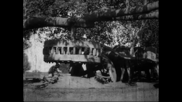 BERGAMO FILM MEETING - CARNIVAL PILGRIMS