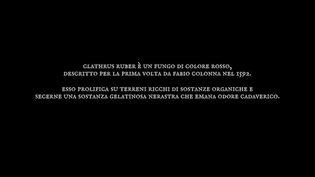 FI-PI-LI HORROR - Cuore di Strega