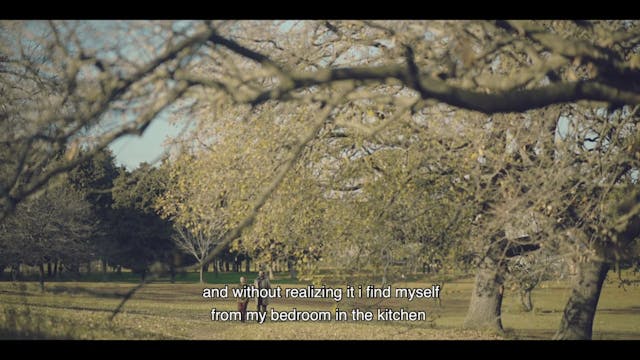 RIFF - COSTELLAZIONI