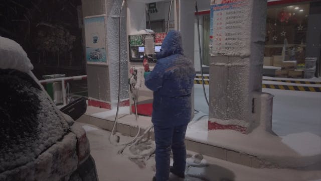 SGUARDI ALTROVE - Coronation