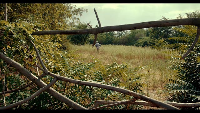 POPOLI - Profu_FTR_1080p